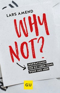 Why not? - Lars Amend - E-Book