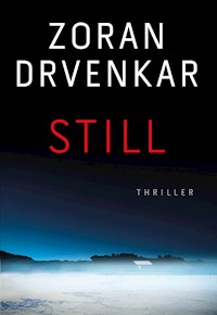 Still - Zoran Drvenkar - E-Book + Hörbuch