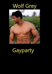 Gayparty - Wolf Grey - E-Book