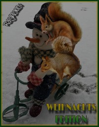 WEIHNACHTS--EDITION--2017 - RAYMONDi - E-Book