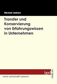 Transfer und Konservierung von Erfahrungswissen in Unternehmen - Michael Jantzen - E-Book