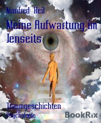 Meine Aufwartung im Jenseits - Manfred Heil - E-Book