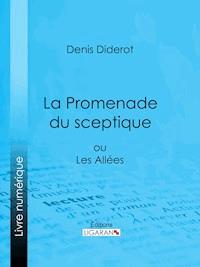 La Promenade du sceptique - Ligaran - E-Book