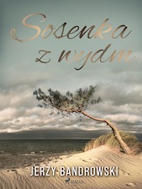 Sosenka z wydm - Jerzy Bandrowski - E-Book