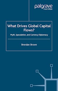 What Drives Global Capital Flows? - B. Brown - E-Book
