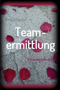 Teamermittlung - Jill Waldhofer - E-Book