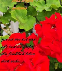 GUT IST wer tut was alle tun.......... - Jana Alegra Martines - E-Book