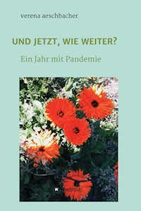 UND JETZT, WIE WEITER? - Verena Aeschbacher - E-Book