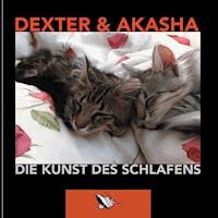 Die Kunst des Schlafens - GAX Axel Gundlach - E-Book