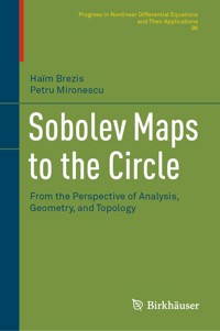 Sobolev Maps to the Circle - Haim Brezis - E-Book