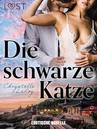 Die schwarze Katze - Erotische Novelle - Chrystelle LeRoy - E-Book