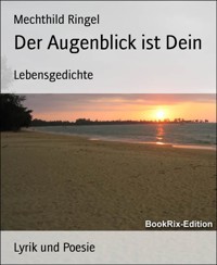 Der Augenblick ist Dein - Mechthild Ringel - E-Book