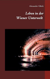 Leben in der Wiener Unterwelt - Alexander Glück - E-Book