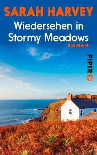 Wiedersehen in Stormy Meadows - Sarah Harvey - E-Book