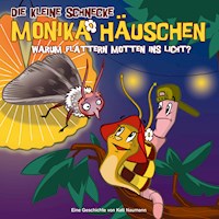 17: Warum flattern Motten ins Licht? - Kati Naumann - Hörbuch