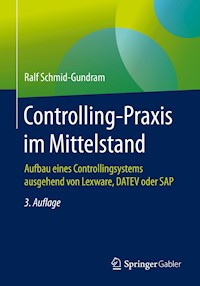 Controlling-Praxis im Mittelstand - Ralf Schmid-Gundram - E-Book
