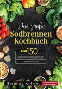 Das große Sodbrennen Kochbuch! Inklusive Ratgeberteil, Nährwertangaben und 14 Tage Ernährungsplan! 1. Auflage - Hermine Krämer - E-Book