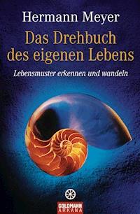 Das Drehbuch des eigenen Lebens - Hermann Meyer - E-Book
