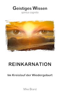 Reinkarnation - Mike Brand - E-Book