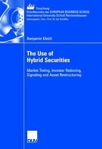 The Use of Hybrid Securities - Benjamin Kleidt - E-Book