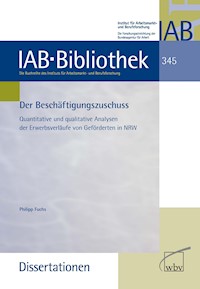 Der Beschäftigungszuschuss - Philipp Fuchs - kostenlos E-Book