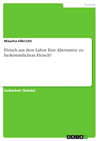 Fleisch aus dem Labor. Eine Alternative zu herkömmlichem Fleisch? - Mascha Ulbricht - E-Book