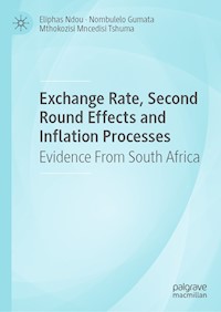 Exchange Rate, Second Round Effects and Inflation Processes - Eliphas Ndou - E-Book