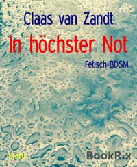 In höchster Not - Claas van Zandt - E-Book