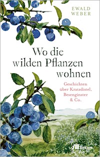Wo die wilden Pflanzen wohnen - Ewald Weber - E-Book