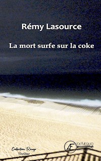 La mort surfe sur la coke - Rémy Lasource - E-Book