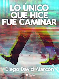 Lo único que hice fue caminar - Diego David Alarcón - E-Book
