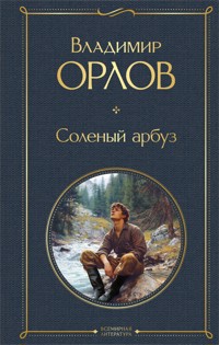 Солёный арбуз - Владимир Орлов - E-Book