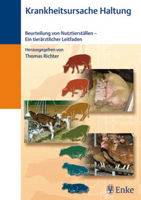 Krankheitsursache Haltung - Thomas Richter - E-Book