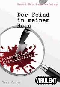 Der Feind in meinem Haus - Bernd Udo Schwenzfeier - E-Book