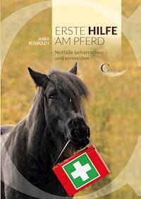 Erste Hilfe am Pferd - Anke Ruesbueldt - E-Book