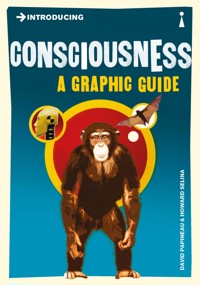 Introducing Consciousness - David Papineau - E-Book