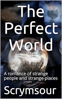 The Perfect World / A romance of strange people and strange places - Ella M. Scrymsour - E-Book