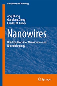 Nanowires - Anqi Zhang - E-Book