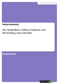 Die Muskelfaser. Aufbau, Funktion und Herstellung eines Modells - Stefan Berktold - E-Book