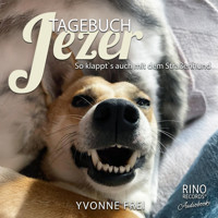 Tagebuch Jezer - Yvonne Frei - Hörbuch