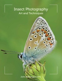 Insect Photography - John Bebbington - E-Book