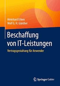 Beschaffung von IT-Leistungen - Meinhard Erben - E-Book
