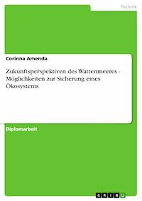 Zukunftsperspektiven des Wattenmeeres - Möglichkeiten zur Sicherung eines Ökosystems - Corinna Amenda - E-Book