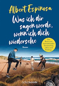 Was ich dir sagen werde, wenn ich dich wiedersehe - Albert Espinosa - E-Book