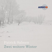 Zwei weitere Winter (Gekürzt) - Patrick Salmen - Hörbuch