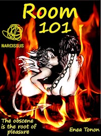 Room 101 - The Obscene is the Root of Pleasure - - Enea Tonon - E-Book