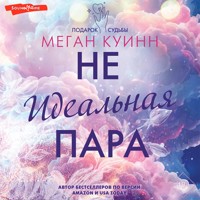 Неидеальная пара - Меган Куинн - Hörbuch