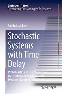Stochastic Systems with Time Delay - Sarah A.M. Loos - E-Book