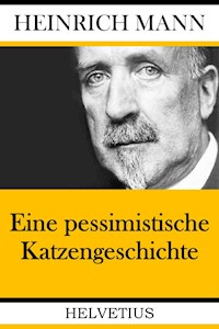 Eine pessimistische Katzengeschichte - Heinrich Mann - E-Book