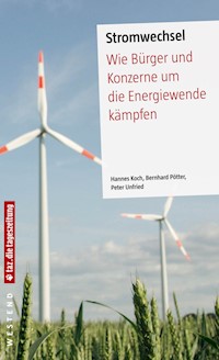 Stromwechsel - Hannes Koch - E-Book
